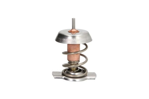 THERMOTEC D2X008TT Thermostat, coolant