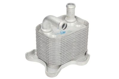 Oil Cooler, engine oil THERMOTEC D4X020TT