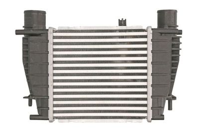 Charge Air Cooler THERMOTEC DA1003TT