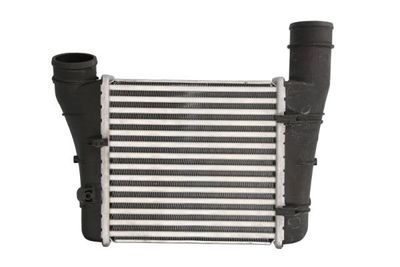 Charge Air Cooler THERMOTEC DAA001TT