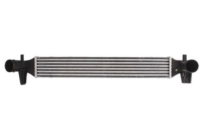 Charge Air Cooler THERMOTEC DAA006TT