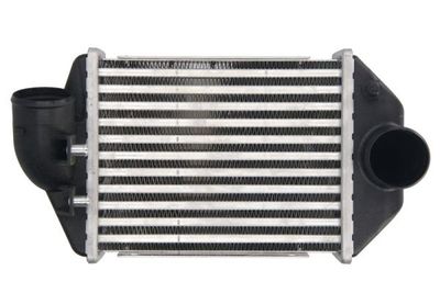 Charge Air Cooler THERMOTEC DAA028TT