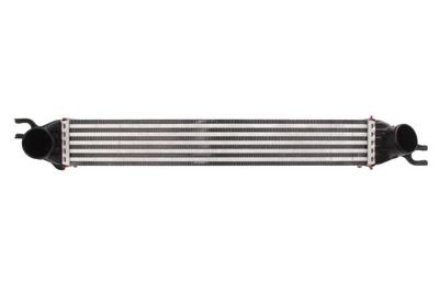 Charge Air Cooler THERMOTEC DAB008TT