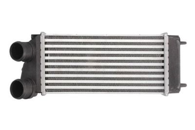 Charge Air Cooler THERMOTEC DAC004TT
