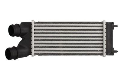 Charge Air Cooler THERMOTEC DAC015TT