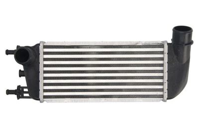 Charge Air Cooler THERMOTEC DAF010TT