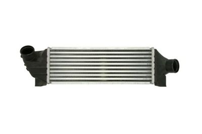 Charge Air Cooler THERMOTEC DAG010TT