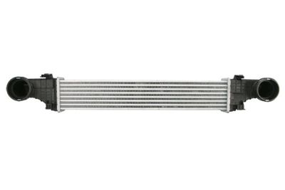 Charge Air Cooler THERMOTEC DAM035TT