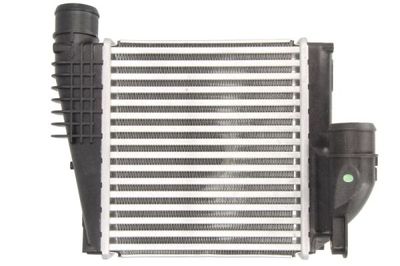 Charge Air Cooler THERMOTEC DAP004TT