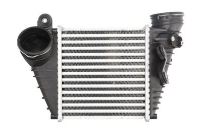Charge Air Cooler THERMOTEC DAW008TT