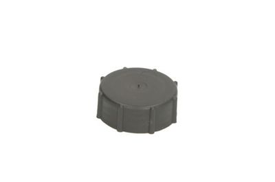 Washer Fluid Reservoir, window cleaning THERMOTEC DBRV004TC