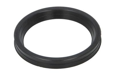 Seal Ring, charge air hose THERMOTEC DCR271TT