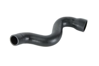 Charge Air Hose THERMOTEC DCW019TT