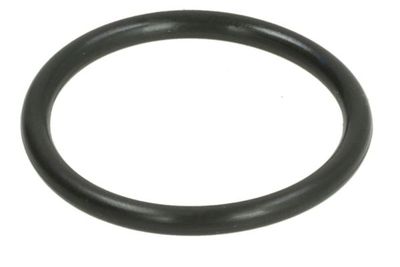 Seal Ring, coolant pipe THERMOTEC DWC154TT