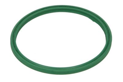 Seal Ring, charge air hose THERMOTEC DXW013TT