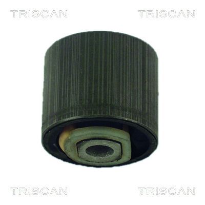 TRISCAN 8500 24818 Mounting, control/trailing arm