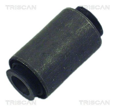 Mounting, control/trailing arm TRISCAN 8500 28819