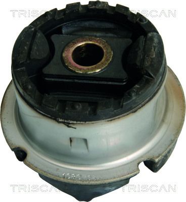 Bushing, axle beam TRISCAN 8500 38814