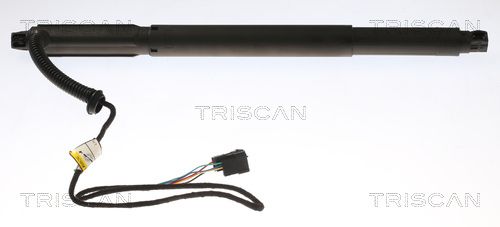 TRISCAN 8710 11301 Gas Spring, boot/cargo area
