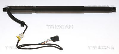 Gas Spring, boot/cargo area TRISCAN 8710 11301