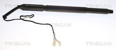 Gas Spring, boot/cargo area TRISCAN 8710 11302