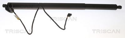 Gas Spring, boot/cargo area TRISCAN 8710 11305