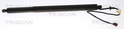 Gas Spring, boot/cargo area TRISCAN 8710 17302