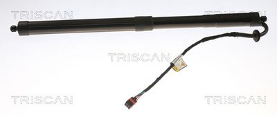 Gas Spring, boot/cargo area TRISCAN 8710 17303