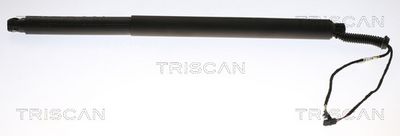 Gas Spring, boot/cargo area TRISCAN 8710 29312