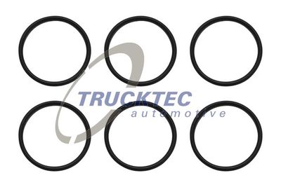 Seal Ring, spark plug shaft TRUCKTEC AUTOMOTIVE 02.10.145