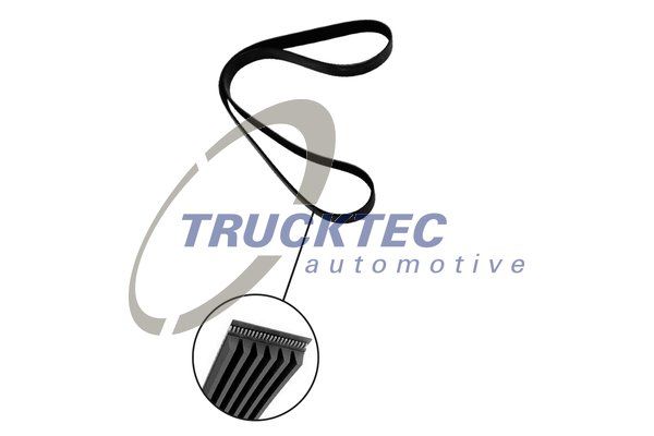 TRUCKTEC AUTOMOTIVE 02.19.344 V-Ribbed Belt