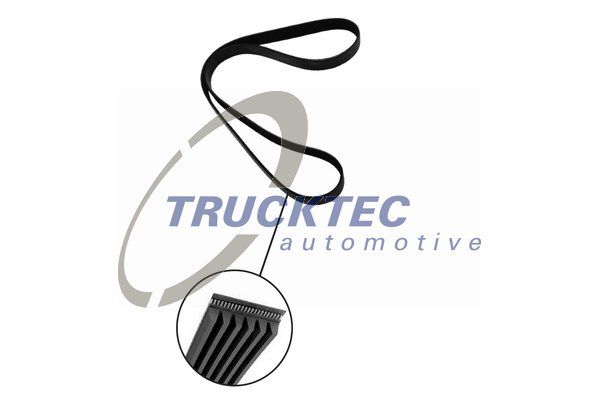 TRUCKTEC AUTOMOTIVE 08.19.161 V-Ribbed Belt