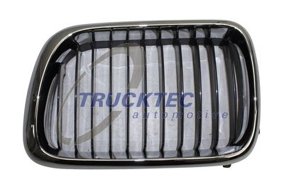 Radiator Grille TRUCKTEC AUTOMOTIVE 08.62.228