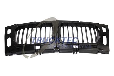 Radiator Grille TRUCKTEC AUTOMOTIVE 08.62.234