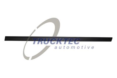 Trim/Protection Strip, door TRUCKTEC AUTOMOTIVE 08.62.898