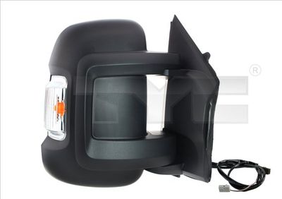 Exterior Mirror TYC 309-0175