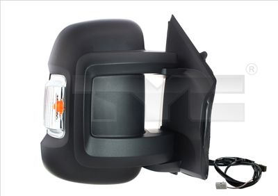 Exterior Mirror TYC 309-0198