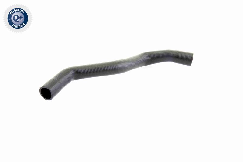 VAICO V10-0071 Radiator Hose