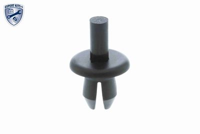 Expanding Rivet VAICO V10-2020
