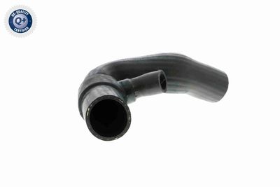 Charge Air Hose VAICO V10-2875