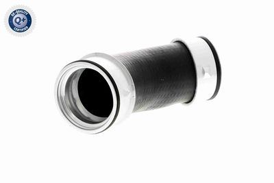 Charge Air Hose VAICO V10-2900