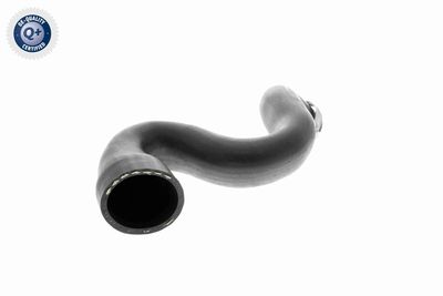Charge Air Hose VAICO V10-2917