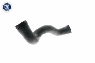Charge Air Hose VAICO V10-3141