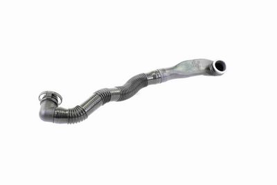 Hose, air supply VAICO V10-3584