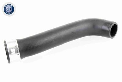 Charge Air Hose VAICO V10-3760