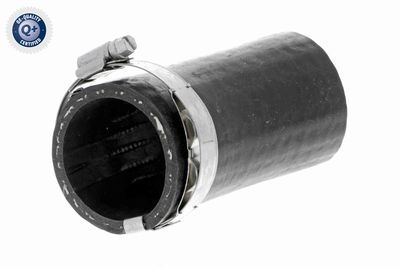 Charge Air Hose VAICO V10-3803