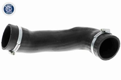 Charge Air Hose VAICO V10-3805