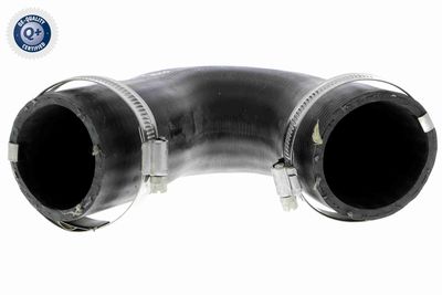 Charge Air Hose VAICO V10-3808