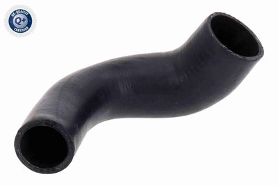 Charge Air Hose VAICO V10-3812