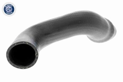 Charge Air Hose VAICO V10-3828